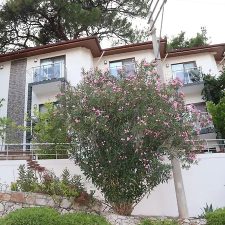 Отель Eden Pyara