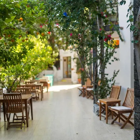 Eden Pyara Hotel 2*