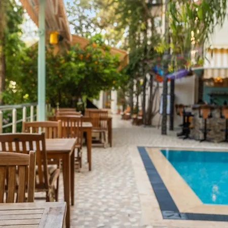 Eden Pyara 5* 图兰克