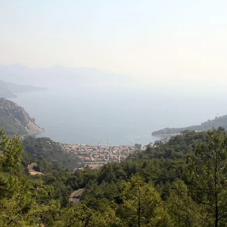 酒店 Eden Pyara 5*